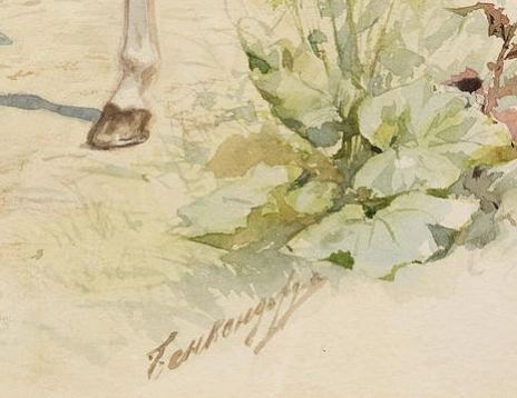 Aquarelle 