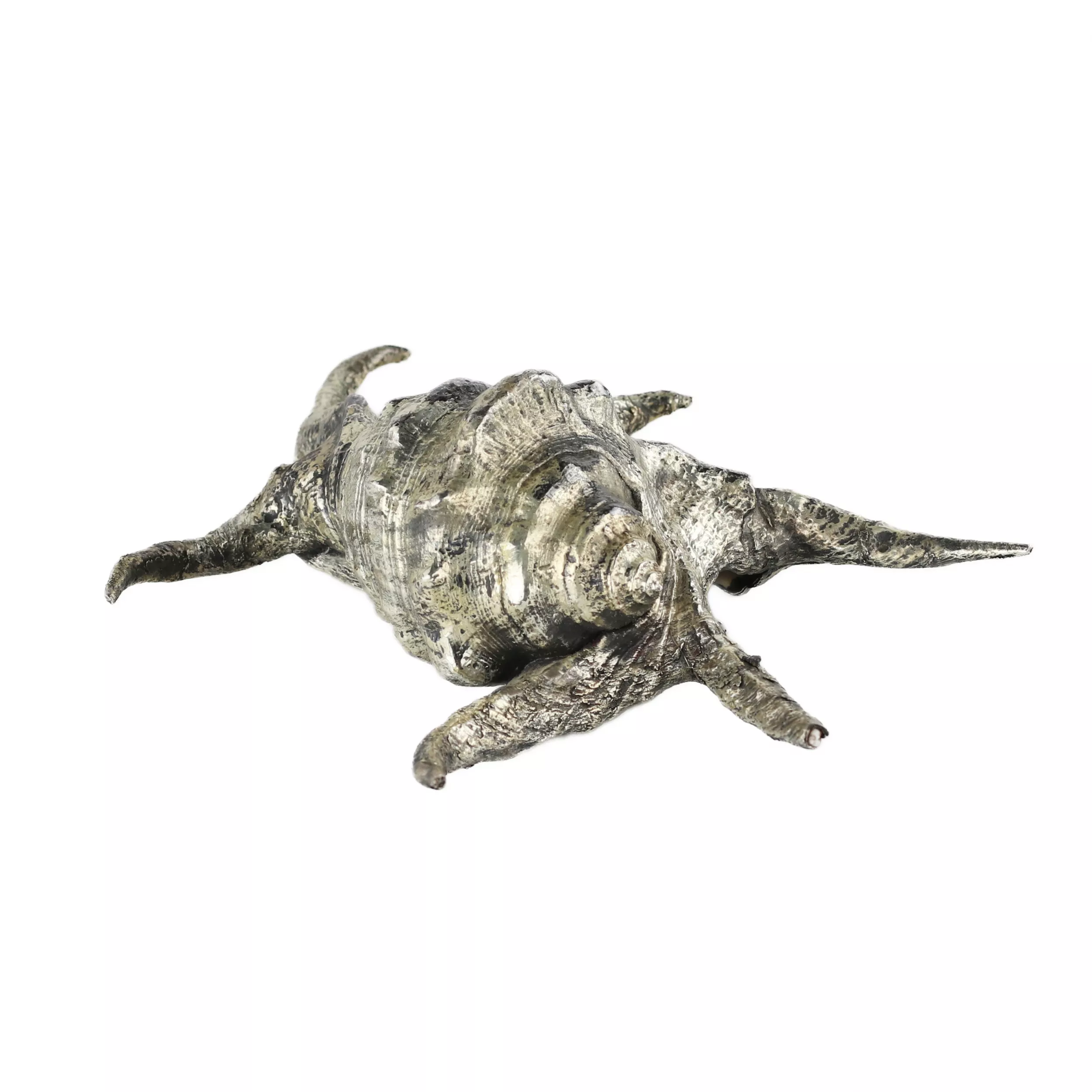Coquille de Buccellati. Italie du 20ème siècle. 