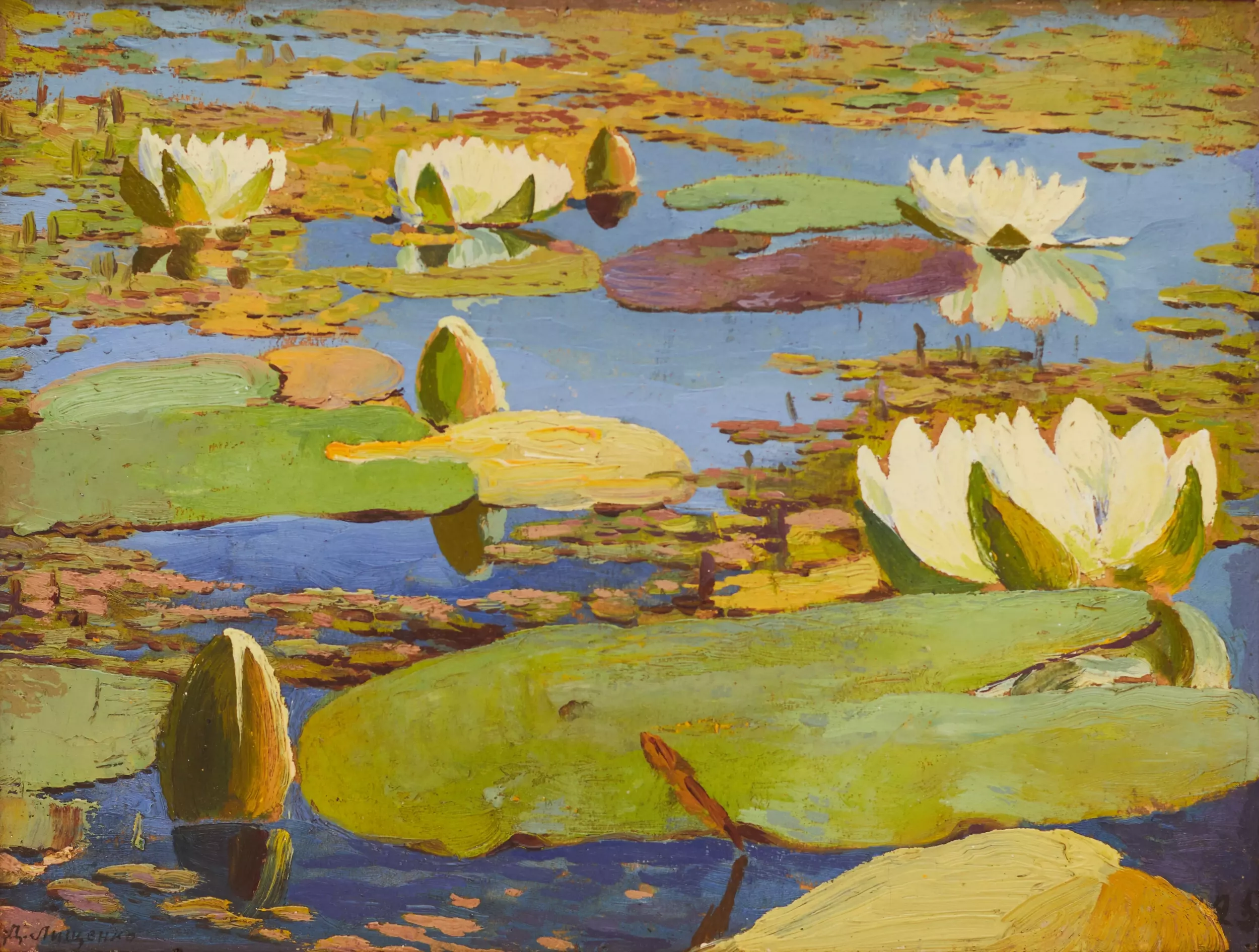 WATER LILIES (NYMPHAEAS) D.A. LISHCHENKO, 1925