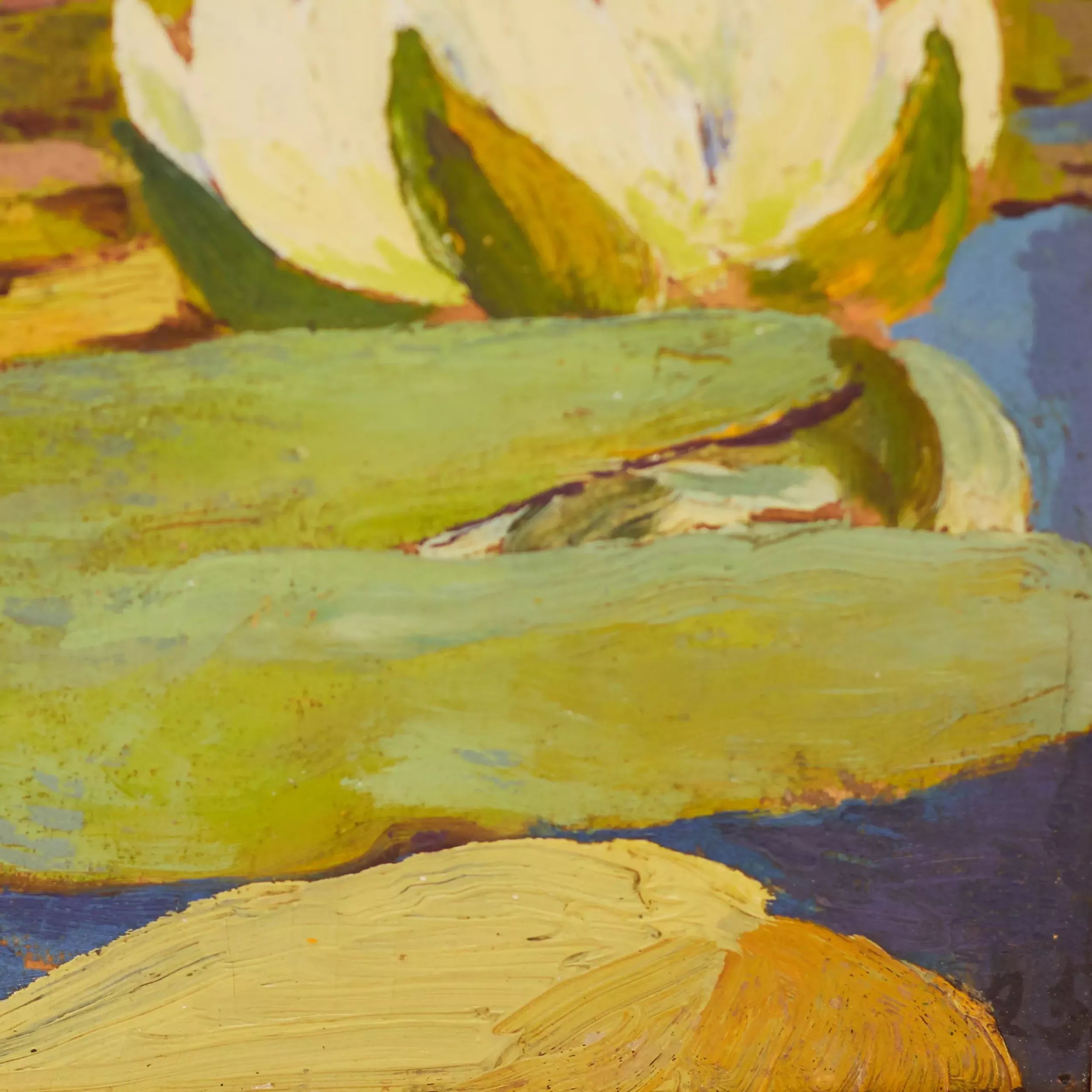 WATER LILIES (NYMPHAEAS) D.A. LISHCHENKO, 1925