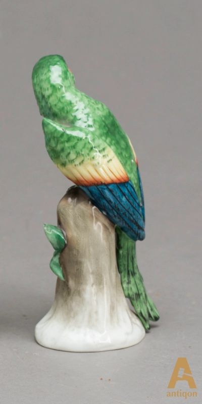 Parrots. Sitzendorf