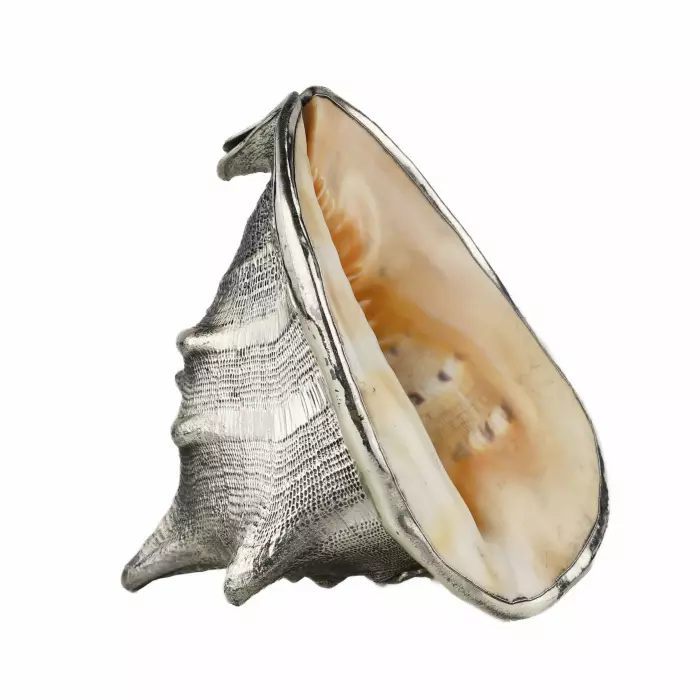 Coquille décorative de Buccellati. Italie du 20ème siècle. 