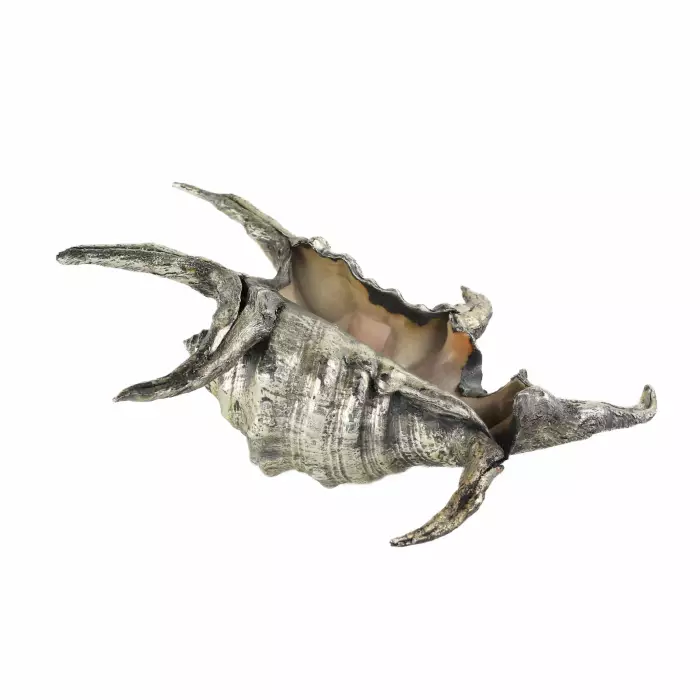 Coquille de Buccellati. Italie du 20ème siècle. 