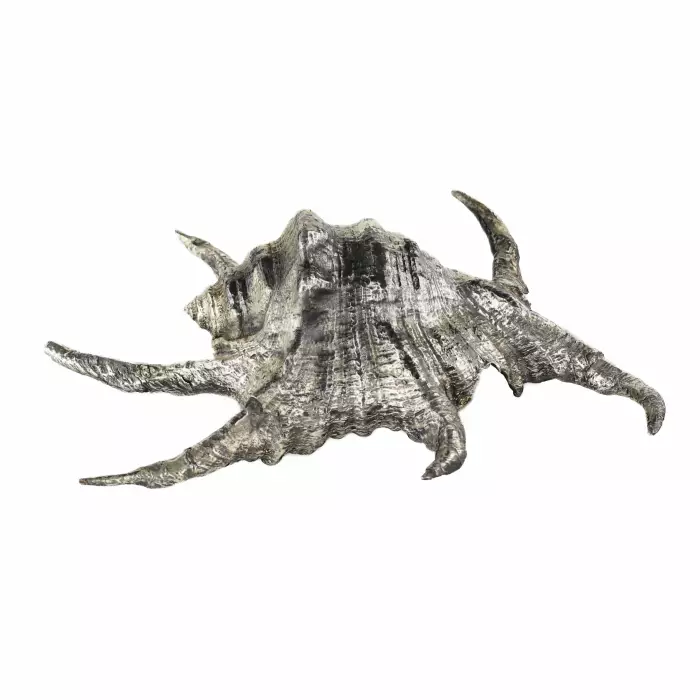 Coquille de Buccellati. Italie du 20ème siècle. 