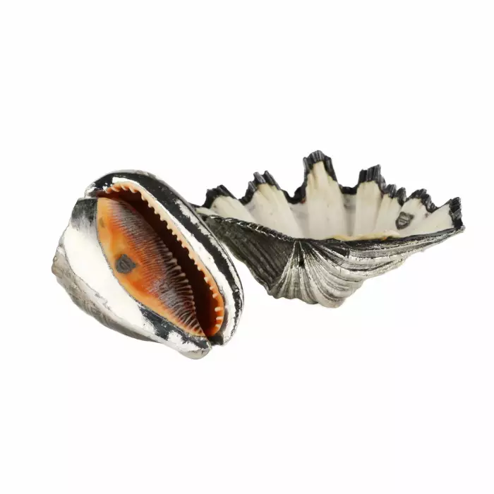 Paire de coquilles décoratives de Buccellati. Italie du 20ème siècle. 