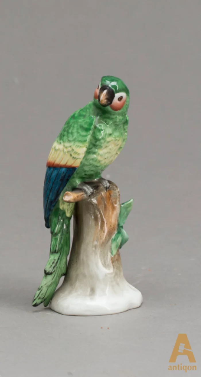 Parrots. Sitzendorf