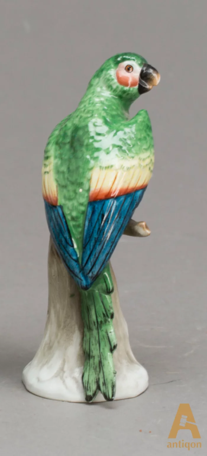 Parrots. Sitzendorf