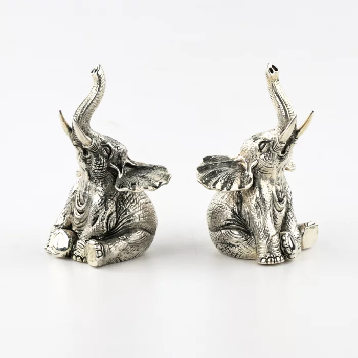 Silver salt and pepper shaker 