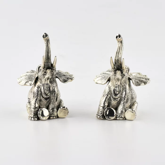 Silver salt and pepper shaker 