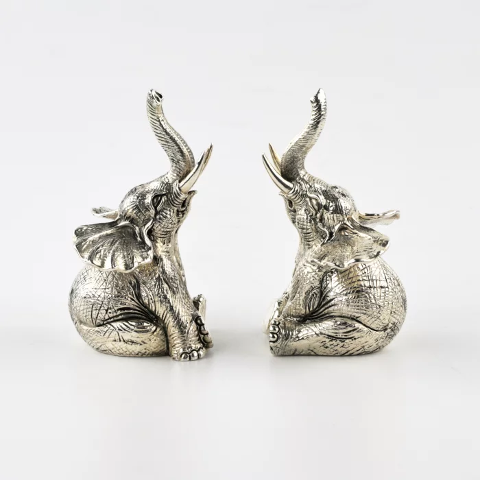 Silver salt and pepper shaker 