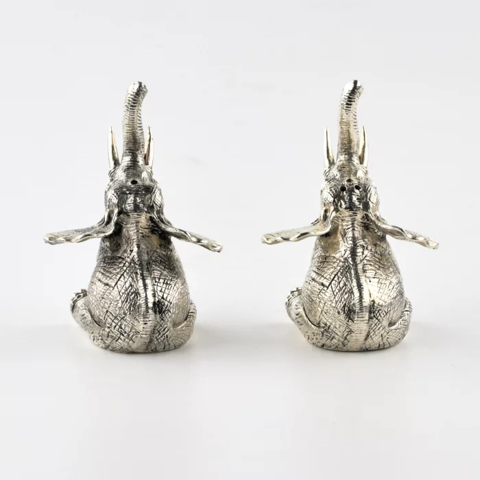 Silver salt and pepper shaker 