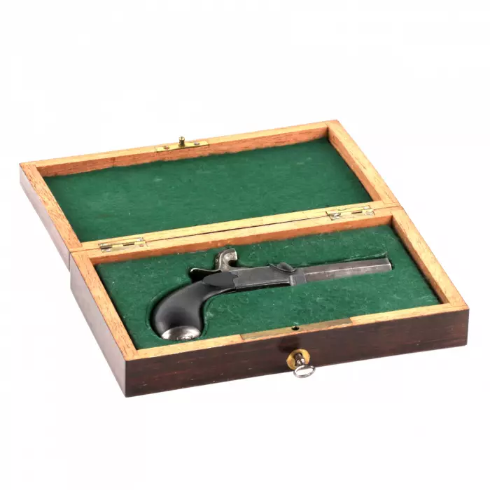 A pistol in a case. 