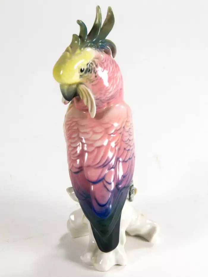 Figure dun perroquet rose. Karl Ens