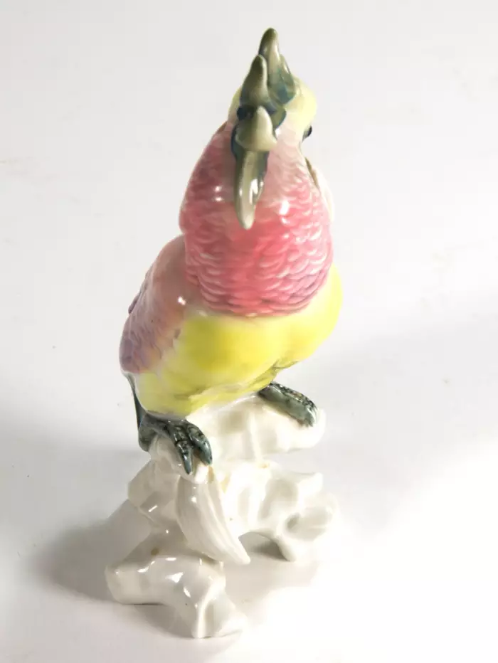 Figure dun perroquet rose. Karl Ens