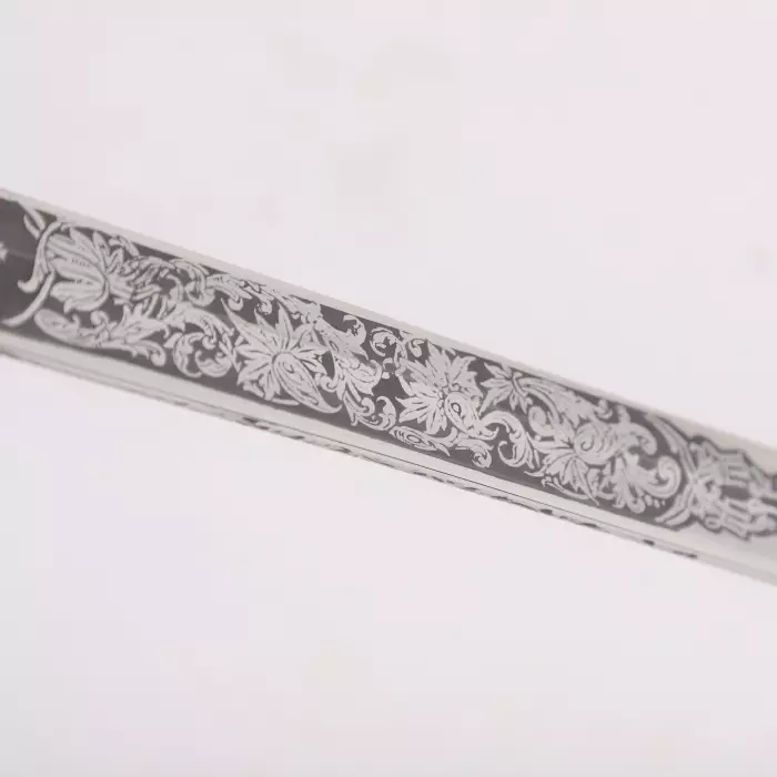 Sabre d`officier de la marine neerlandaise. 