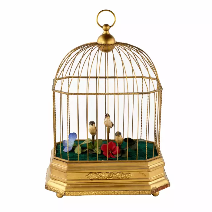Jouet musical - Cage à oiseaux. 