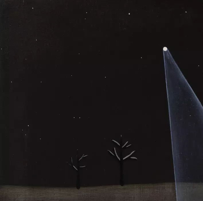 Night butterfly
