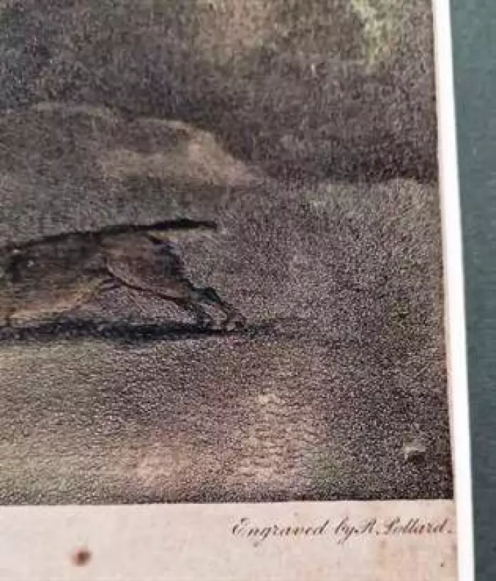 Engraving