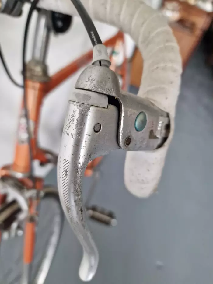 NION HOLLAND GEDER bicycle.