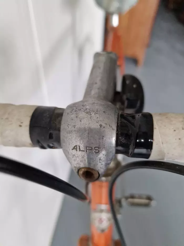 NION HOLLAND GEDER bicycle.