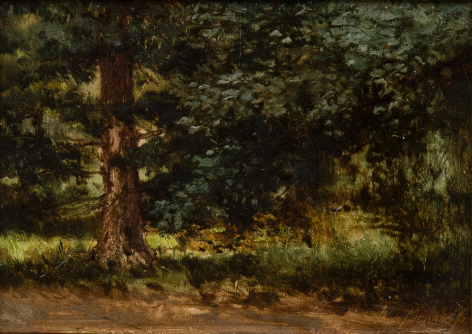 Landscape 