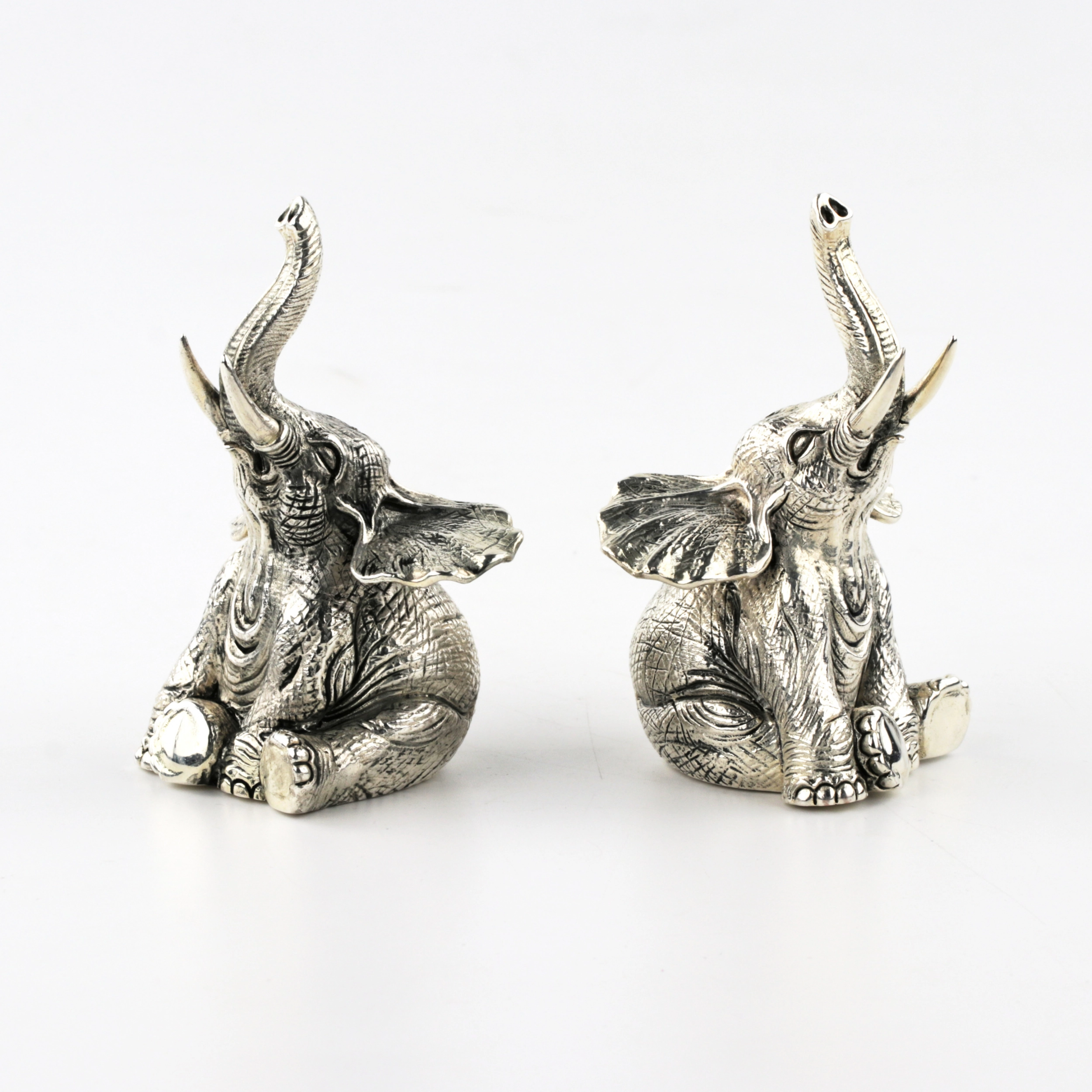 Silver salt and pepper shaker 