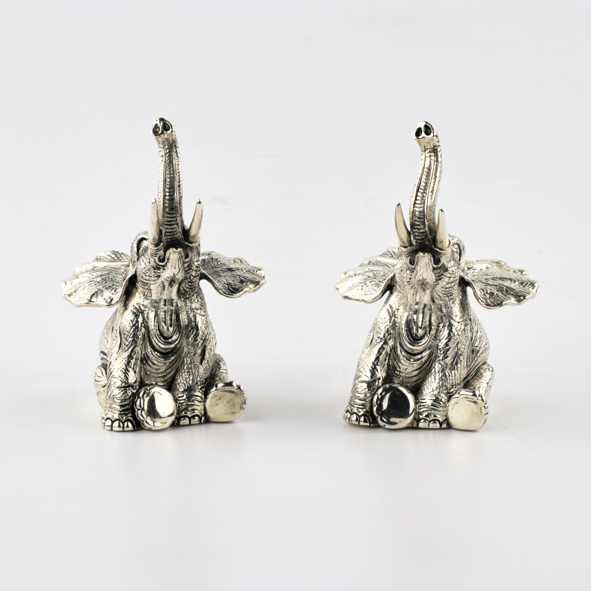 Silver salt and pepper shaker 