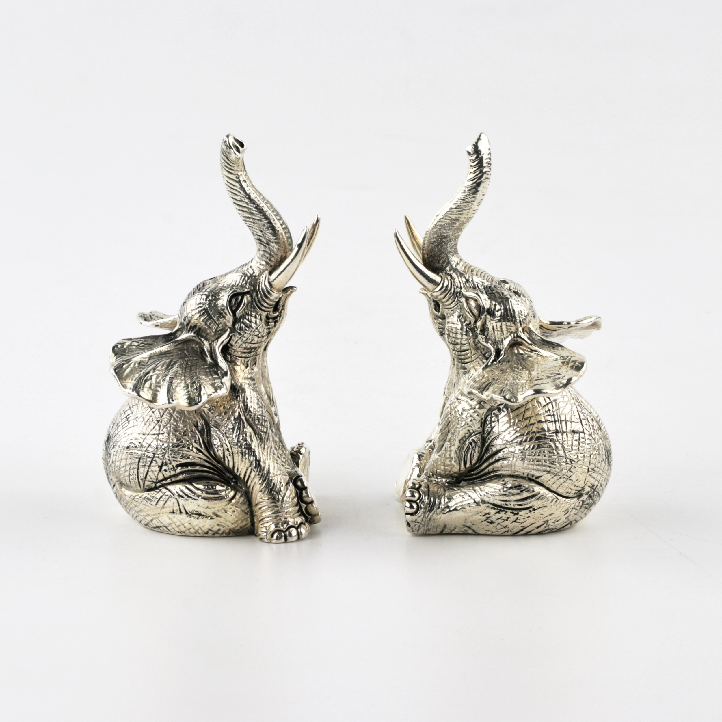 Silver salt and pepper shaker 