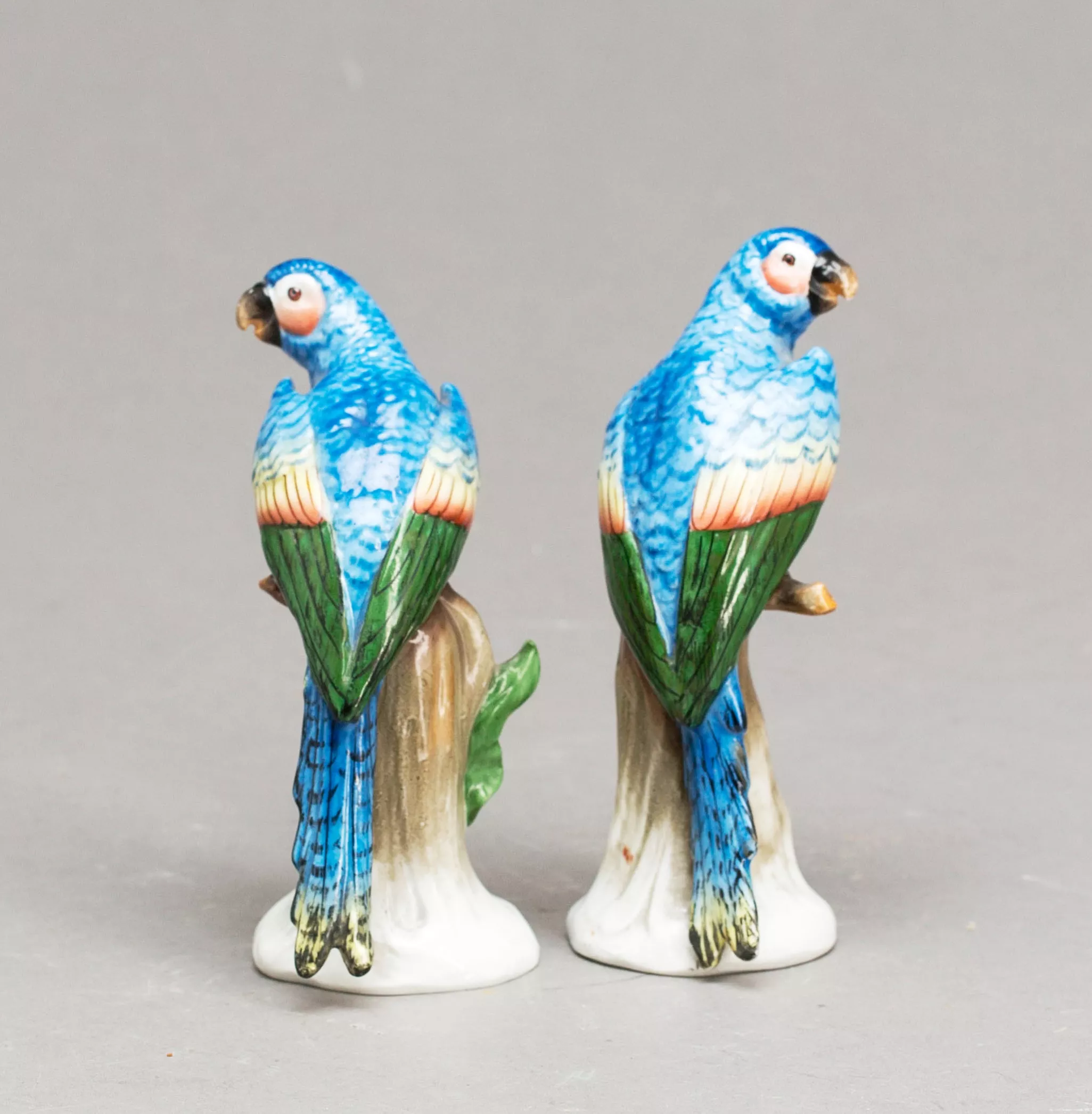 Couple de porcelaine Perroquets. Sitzendorf. 