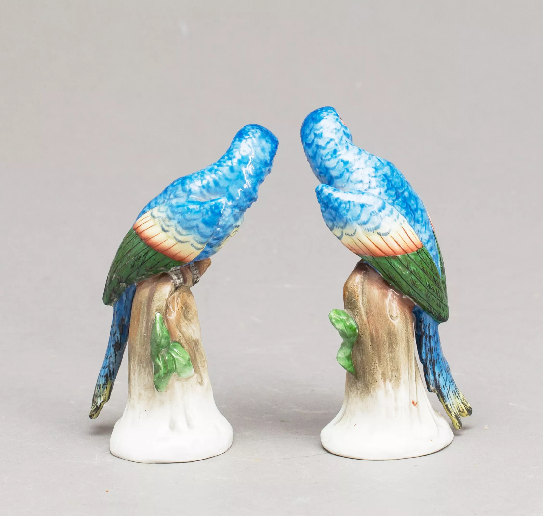 Couple de porcelaine Perroquets. Sitzendorf. 