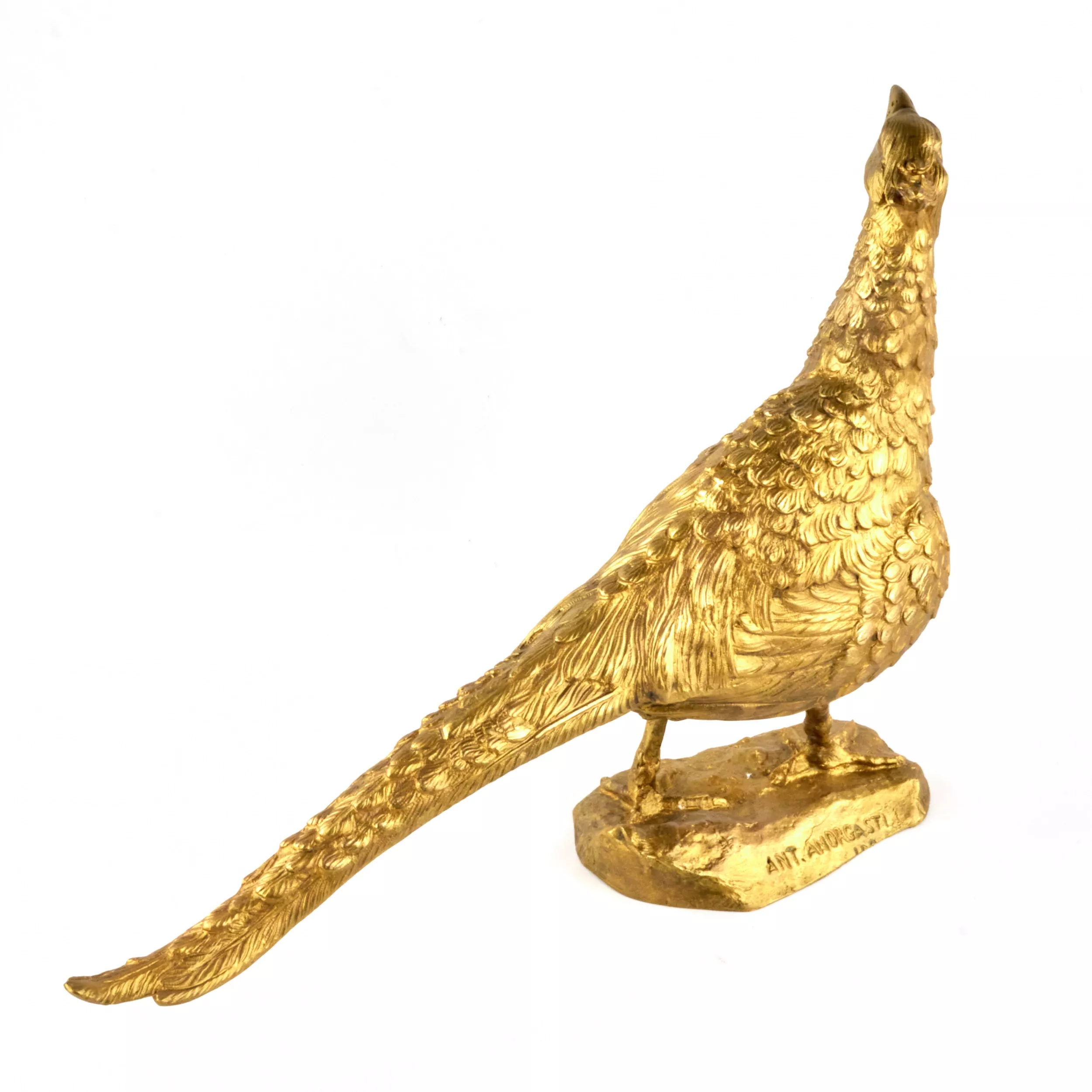 Faisan en bronze dore. 