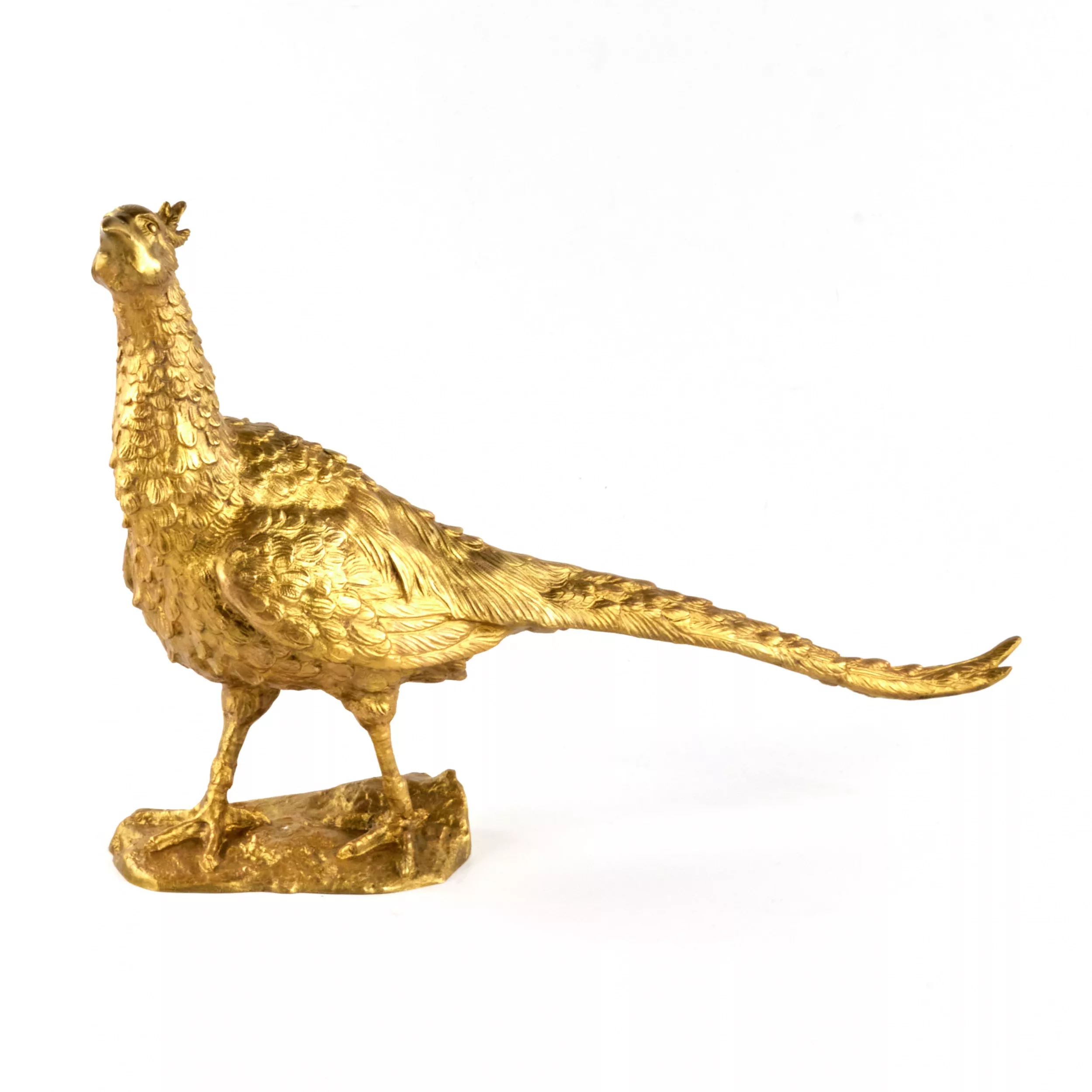 Faisan en bronze dore. 