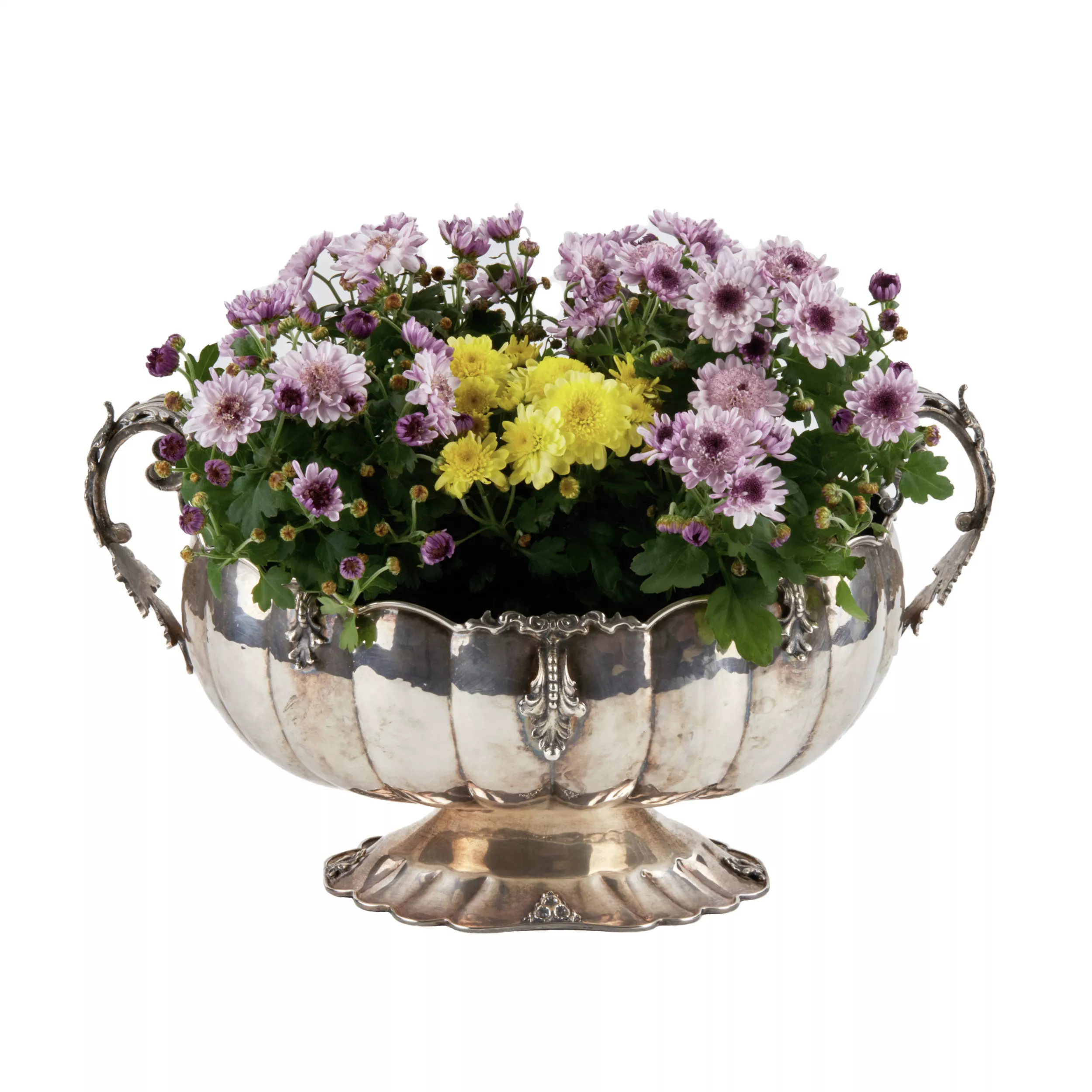 Vase en argent pour fleurs ou fruits. Gianni Bolletino. Gioletti. 