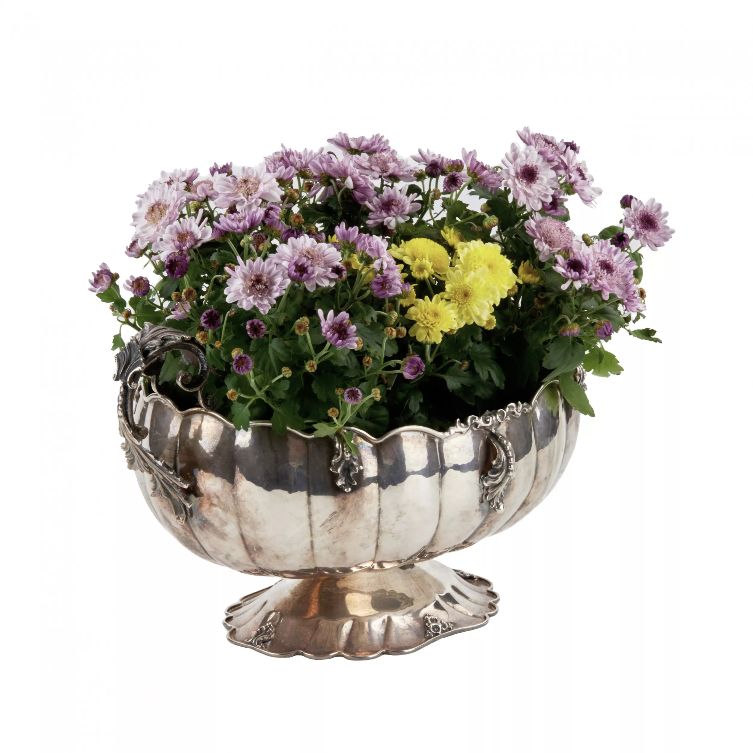 Vase en argent pour fleurs ou fruits. Gianni Bolletino. Gioletti. 