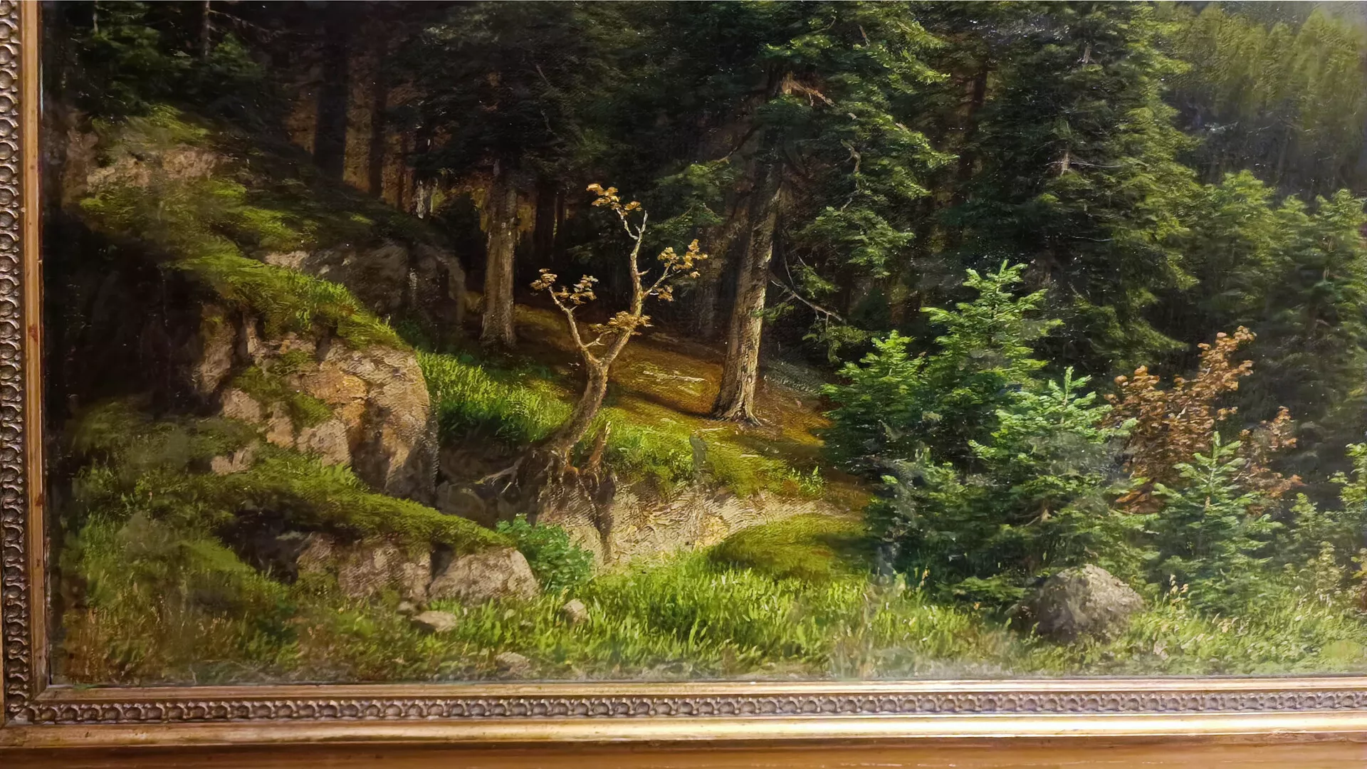 Paysage de montagne 