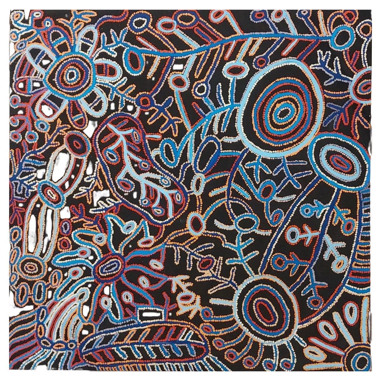 `Vaughan Springs Dreaming Pikilyi` Aboriginal Painting by Faye Nangala Hudson