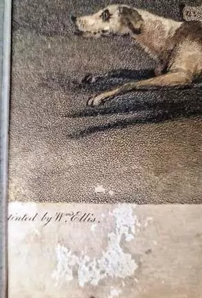 Engraving