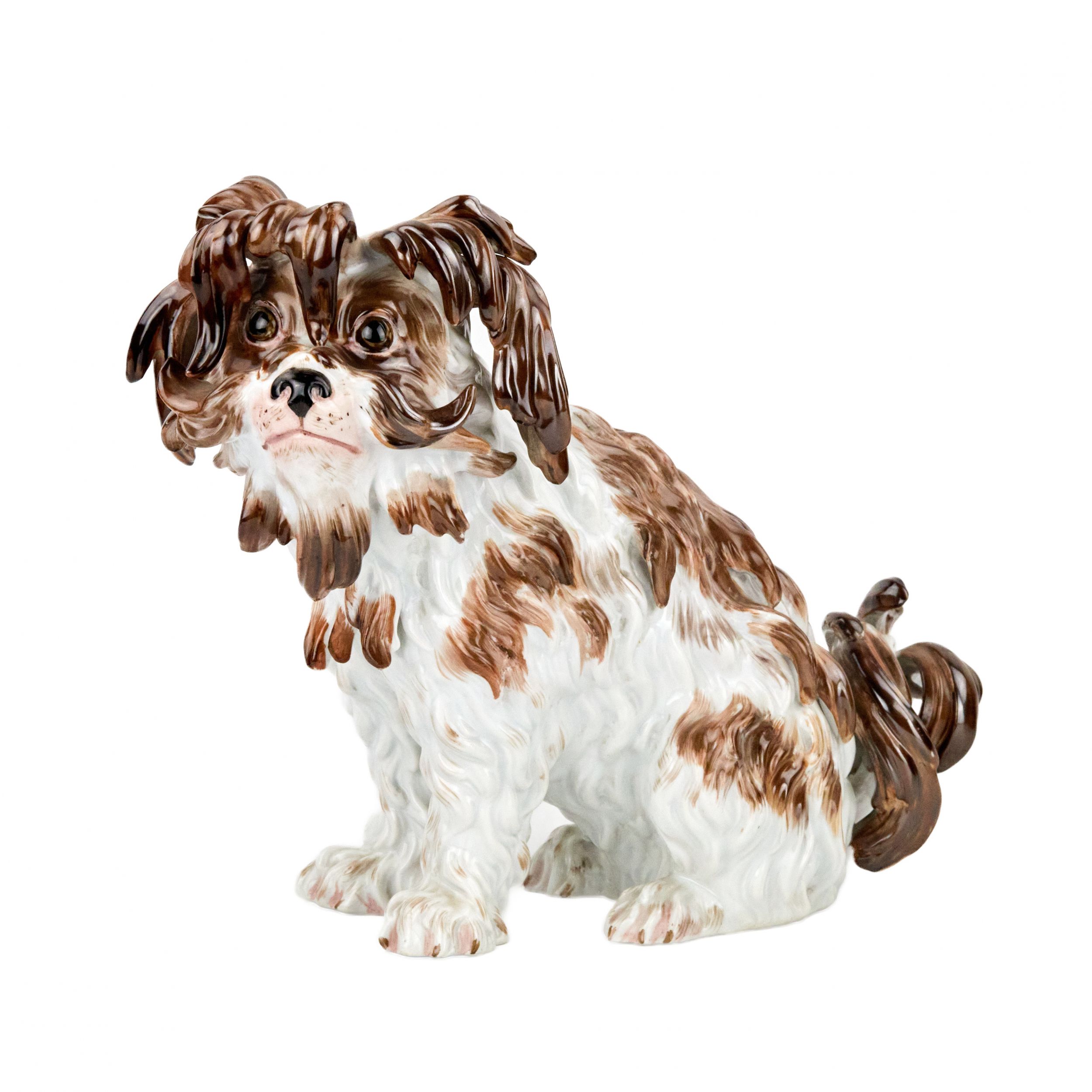 Un-beau-chien-de-poche-en-porcelaine-de-Meissen-d`une-seule-pièce-XIXe-siècle-