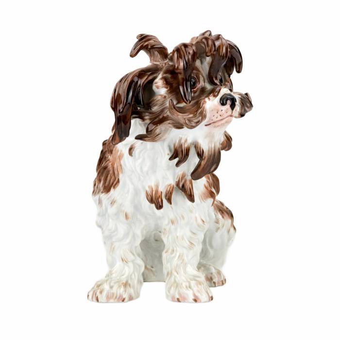 A lovely, one-piece, Meissen porcelain lapdog, 19th century. 