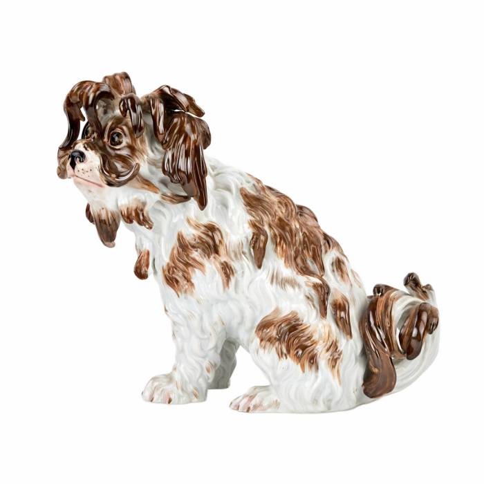 A lovely, one-piece, Meissen porcelain lapdog, 19th century. 