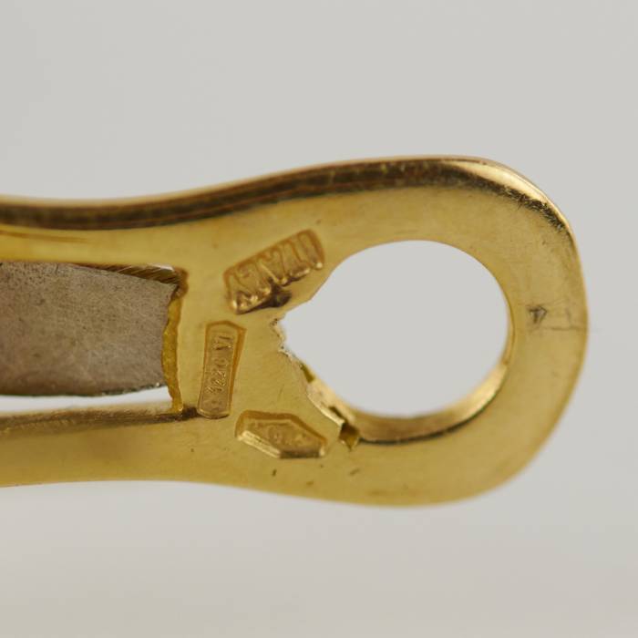 Roberto monētu dimanta zelta ziloņu ādas juvelierizstrādājumu komplekts.