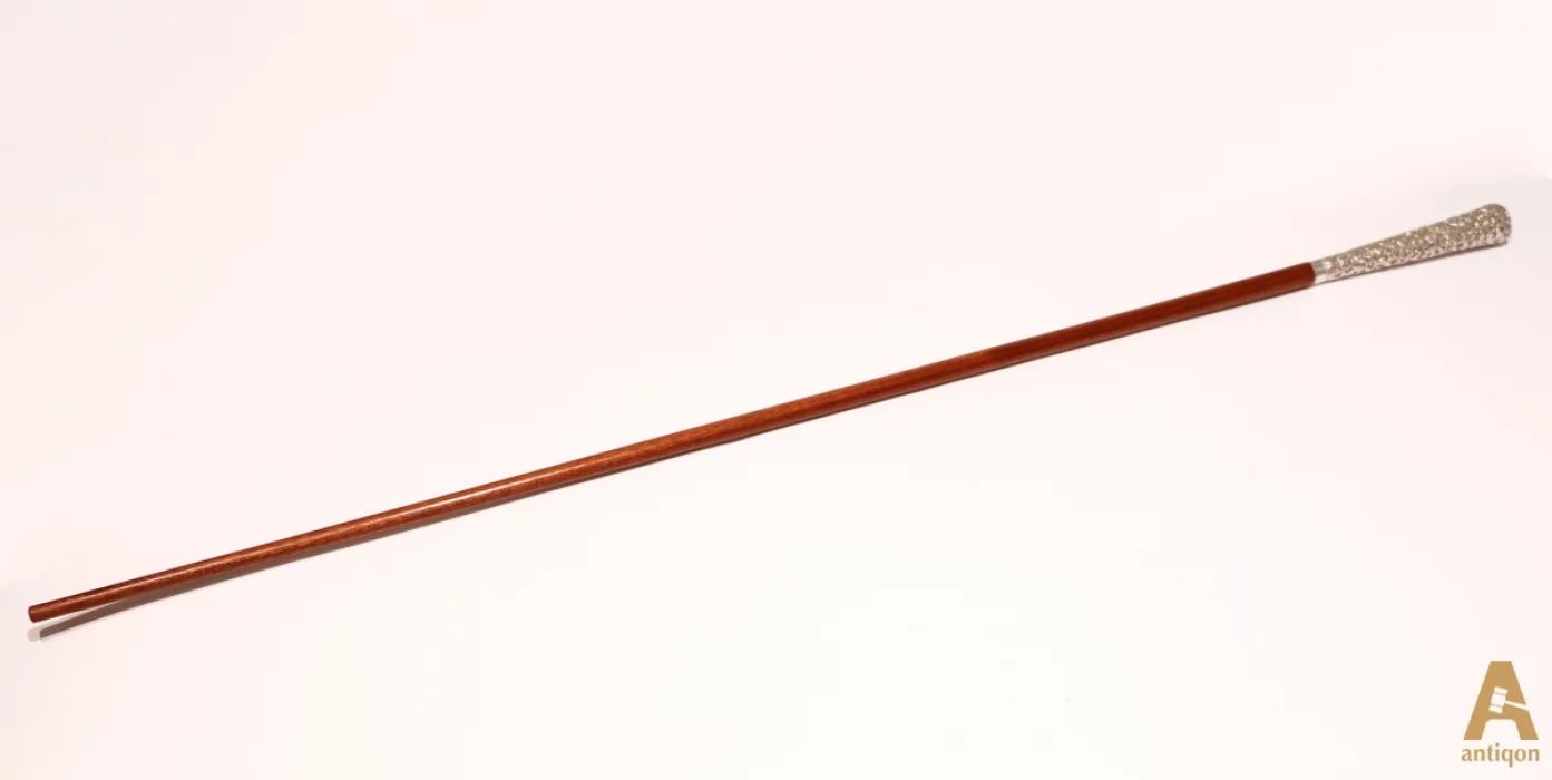 Walking stick with silver handle