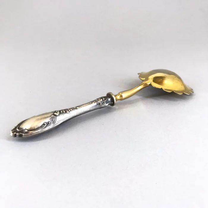 Silver Spoon