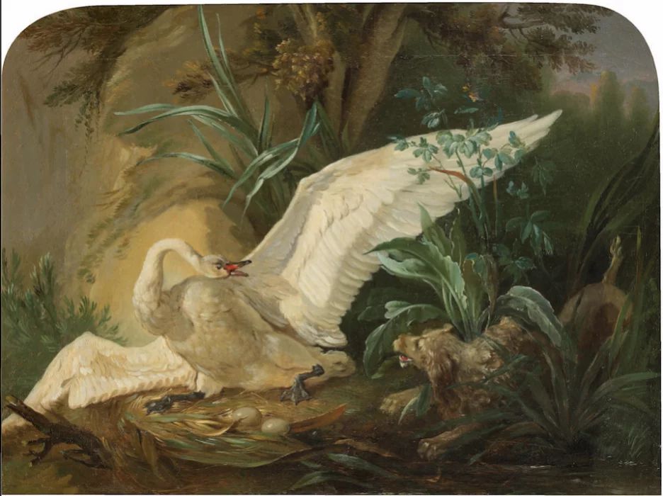 Картина Охота на Лебедя