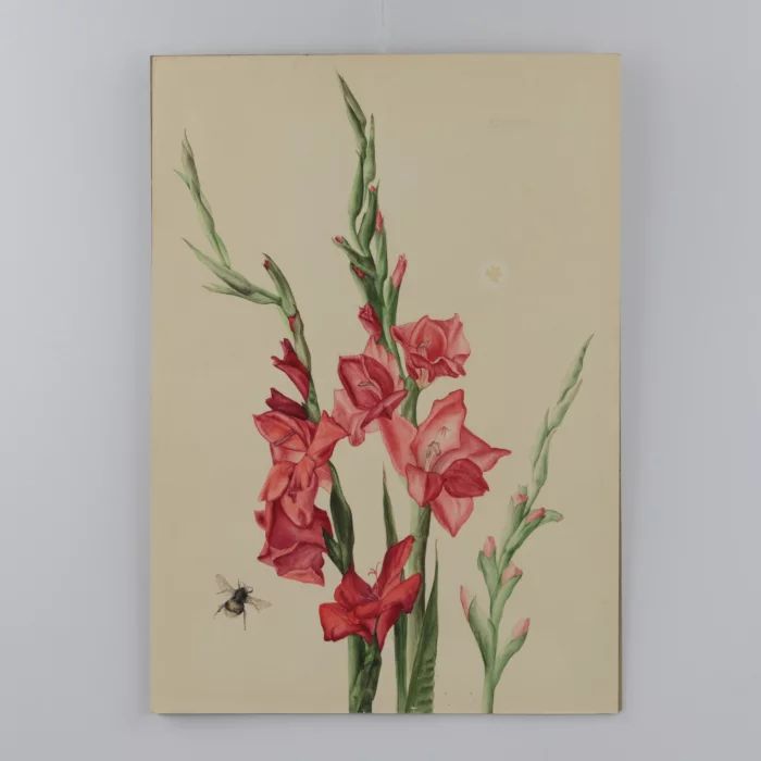 Burghardt. Watercolor The Bee and Gladioli.