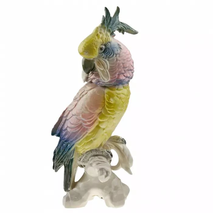 Pink Parrot. Karl Ens