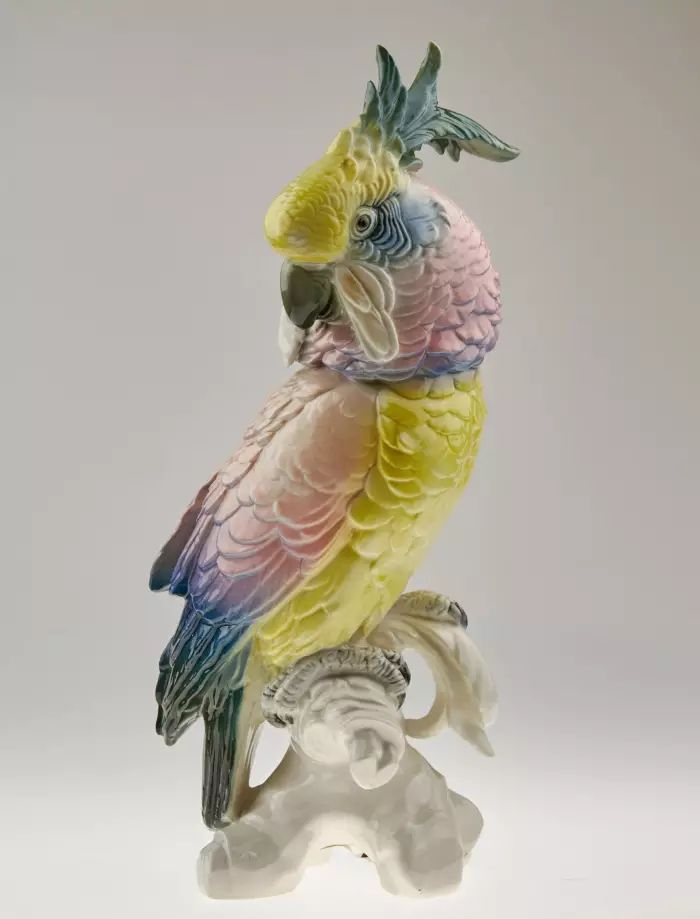 Pink Parrot. Karl Ens