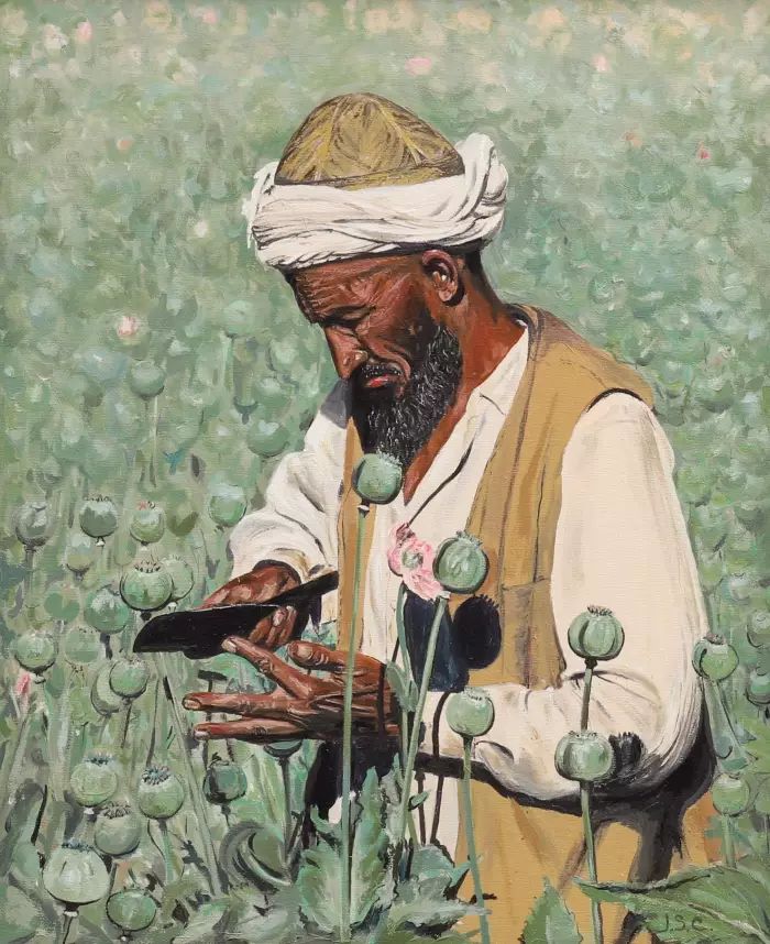Painting Opium Picker. JOSEPHINE S. STONER CHAMBERLAIN 