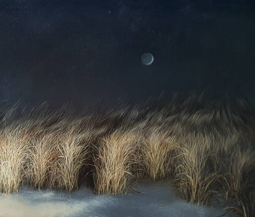 Maija Muizniece - Velvet coastal darkness