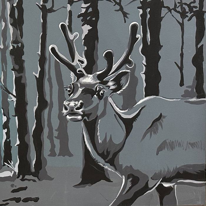 In the Forest 1